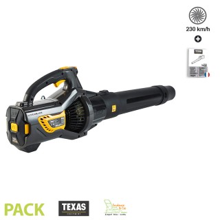 Pièces détachées Souffleur électrique LBZ-5800 TEXAS