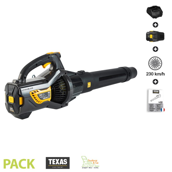 Pièces détachées Souffleur électrique LBZ-5800-Pack4ah TEXAS