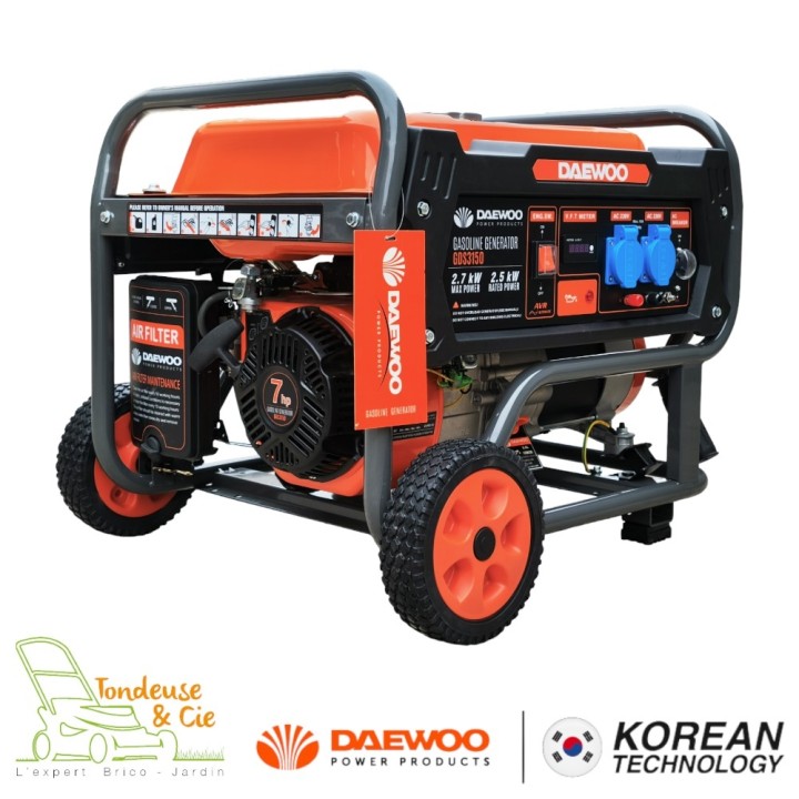 Pièces détachées Groupe électrogène GDS3150E DAEWOO