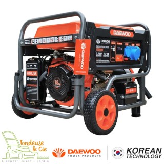 Pièces détachées Groupe électrogène GDS8950E DAEWOO